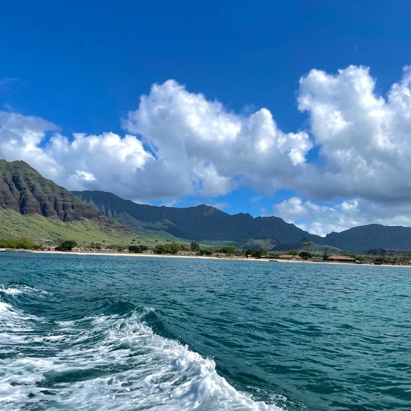 Meet your posher - Picture 1 of 1